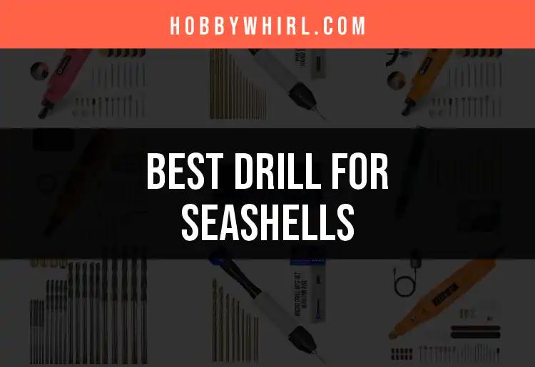 15 Best Drills for Seashells: Unearth Hidden Treasures
