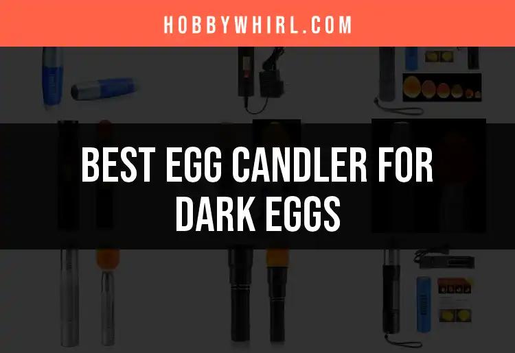 11 Best Egg Candlers for Dark Eggs Revealed